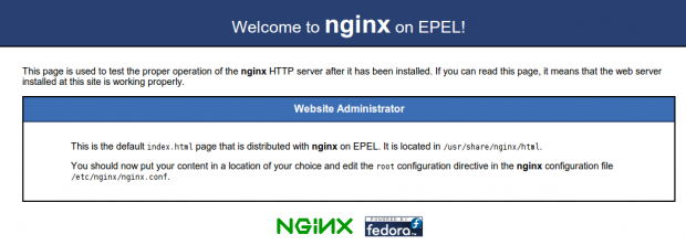 Nginx default page
